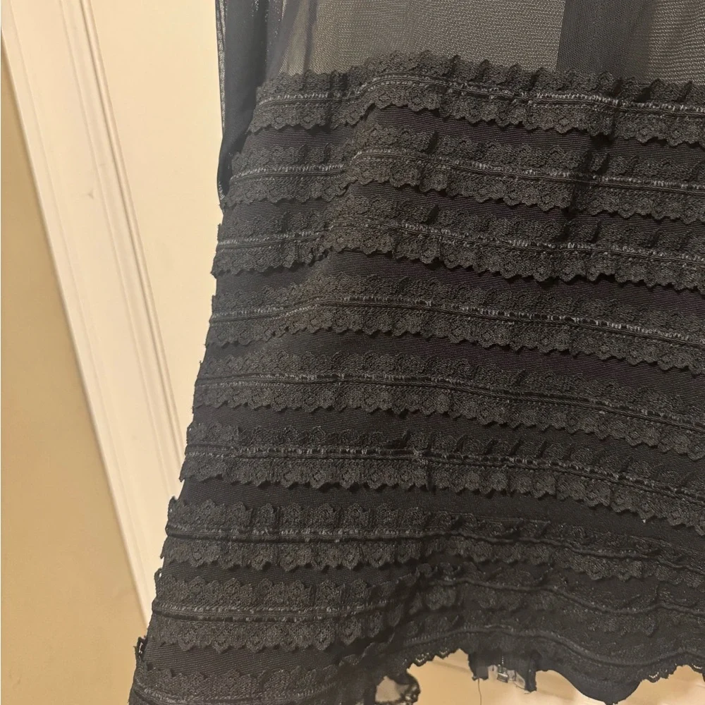 TADASHI Vintage Gothic Mesh & Tiered Lace Blouse Size M - Picture 4 of 9